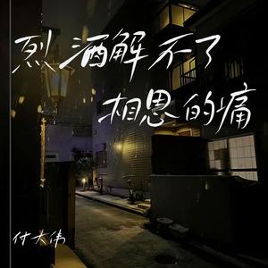 烈酒解不了相思的痛(伴奏)