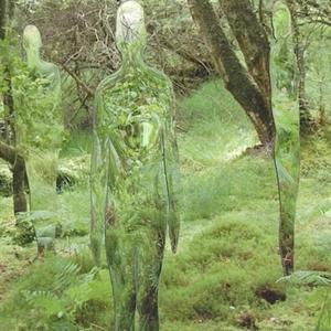 Where The Rain Go (feat. sweden & nolabert)