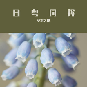 あこるでいおん(cover一青窈)