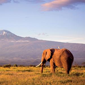 It's a Beautiful day (drill)