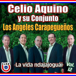 Che vy´a´y purahéi