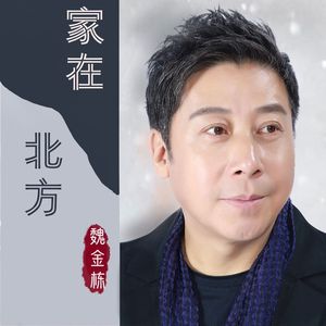 家在北方-魏金栋