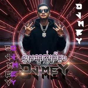 ខ្ញុំស្រឡាញ់ស្រីតូច រីមុិច