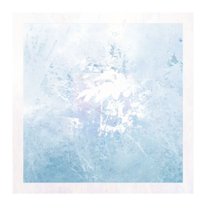 天使にはなれなかった