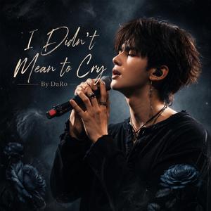 I Didn't Mean to Cry (feat. DaRa)