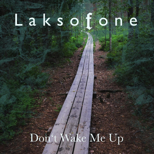 Don‘t Wake Me Up