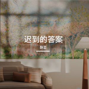 迟到的答案