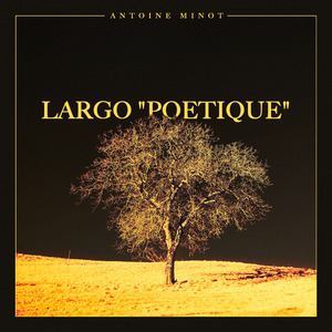 Largo "Poetique"
