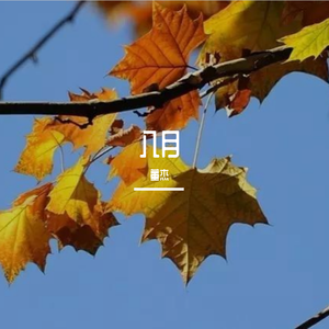 张信哲-信仰葫芦丝（董杰 remix）