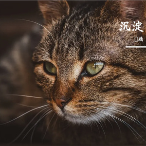 边缘行者remix