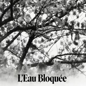 Silence Après l'Accident（事故后的寂静）