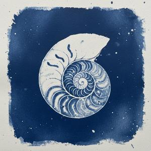 Nautilus Spiral