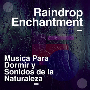 In The Light of the Sun