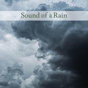 Thunder and Rain Sounds