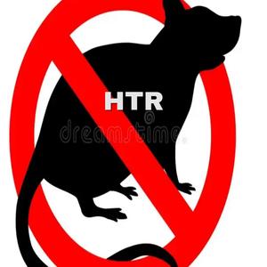 HTR