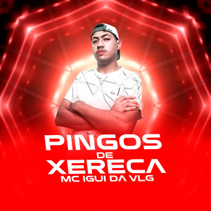 Pingos de Xereca