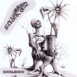 Midi, midi, movdivar