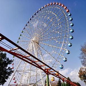 【FREE】天 气 晴朗