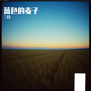 蓝色的麦子