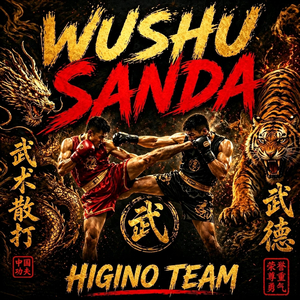 Wushu Sanda