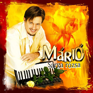 Széttépett Szerelmeslevél