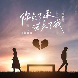 你负了承诺负了我 (回忆版)