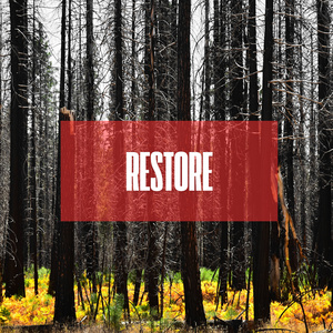 RESTORE