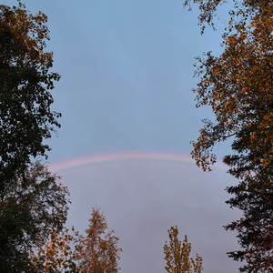 Timi Sangako Harek Pal