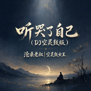 听哭了自己(DJ空灵鼓版)