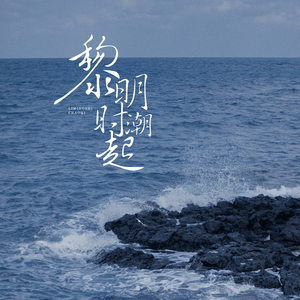 黎明时潮起