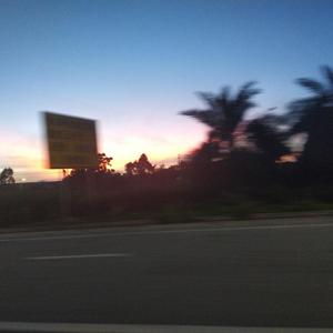 春风十里报新年