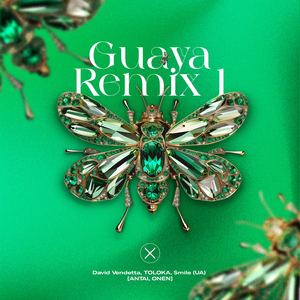 Guaya (Antai, Onen Remix)