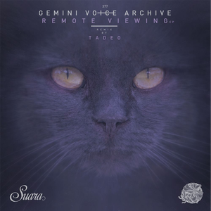 Forms (Tadeo Remix)