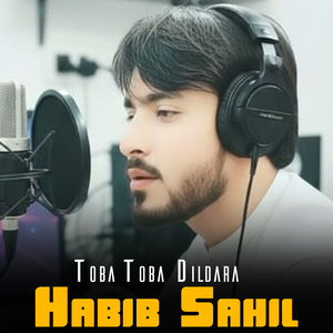 Tasveer Ta Pa Jara Sham
