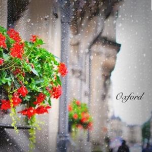 晚风吹拂了耳朵