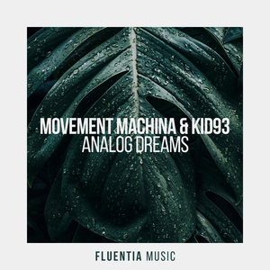 Analog Dreams (Extended Mix)