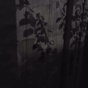 THE NIGHT AND ITS TERRORS (PROD. NISH)