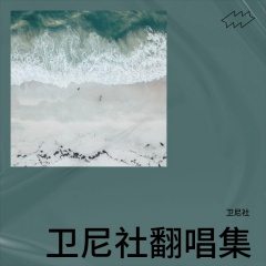 最美梳头情(DJ版)