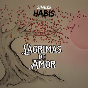 Lágrimas de Amor