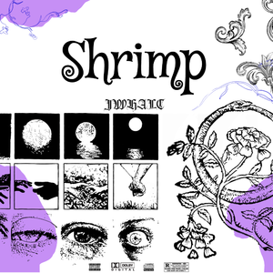 “Shrimp”-西海岸×West Coast Type Beat