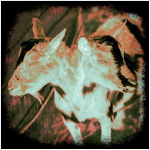 JEBES 12 (feat. TRUCIFER)