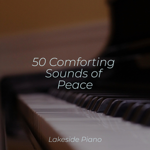 Liszt Consolation No
