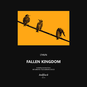 Fallen Kingdom (Mr. Sandhu Remix)