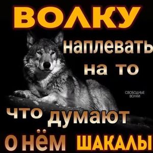 Я НА КОНЕ (Skit)