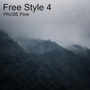 Free Style 4