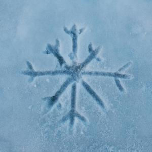 winter's offering (feat. Sofia Wells & Rowan Wells)