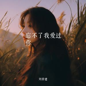 忘不了我爱过你
