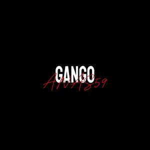 GANGO