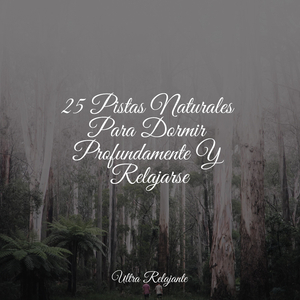 Calidez Curativa