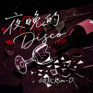 夜晚的Disco